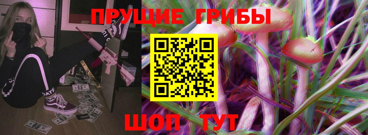 Псилоцибиновые грибы GOLDEN TEACHER Елизово